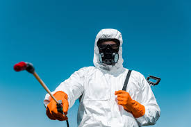 Best Termite Inspection and Treatment  in Stratford, TX